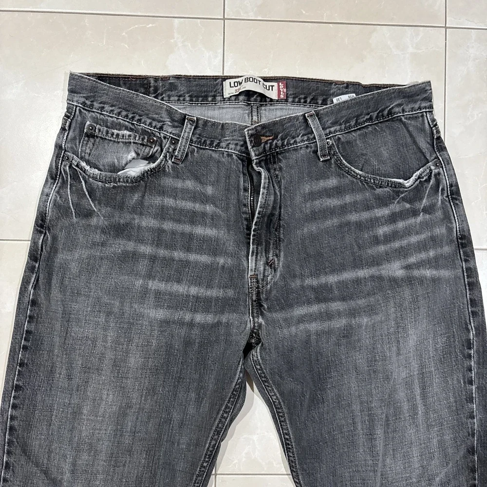 Levis levis 527